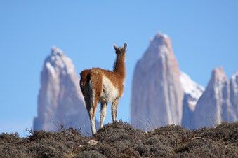 Awasi Patagonia Hotel Bekvemmeligheder billede